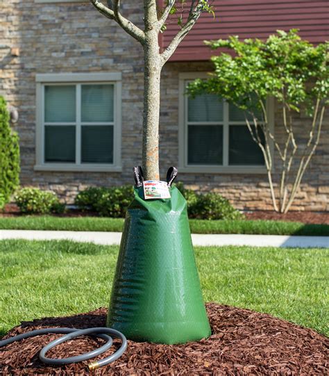 alligator bag for watering trees.